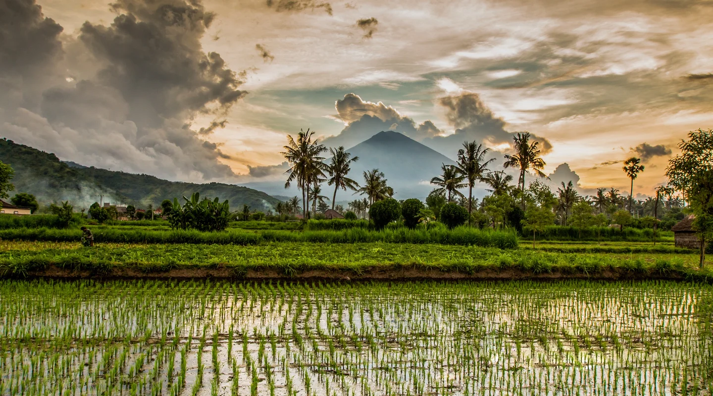 Bali Especial Semana Santa