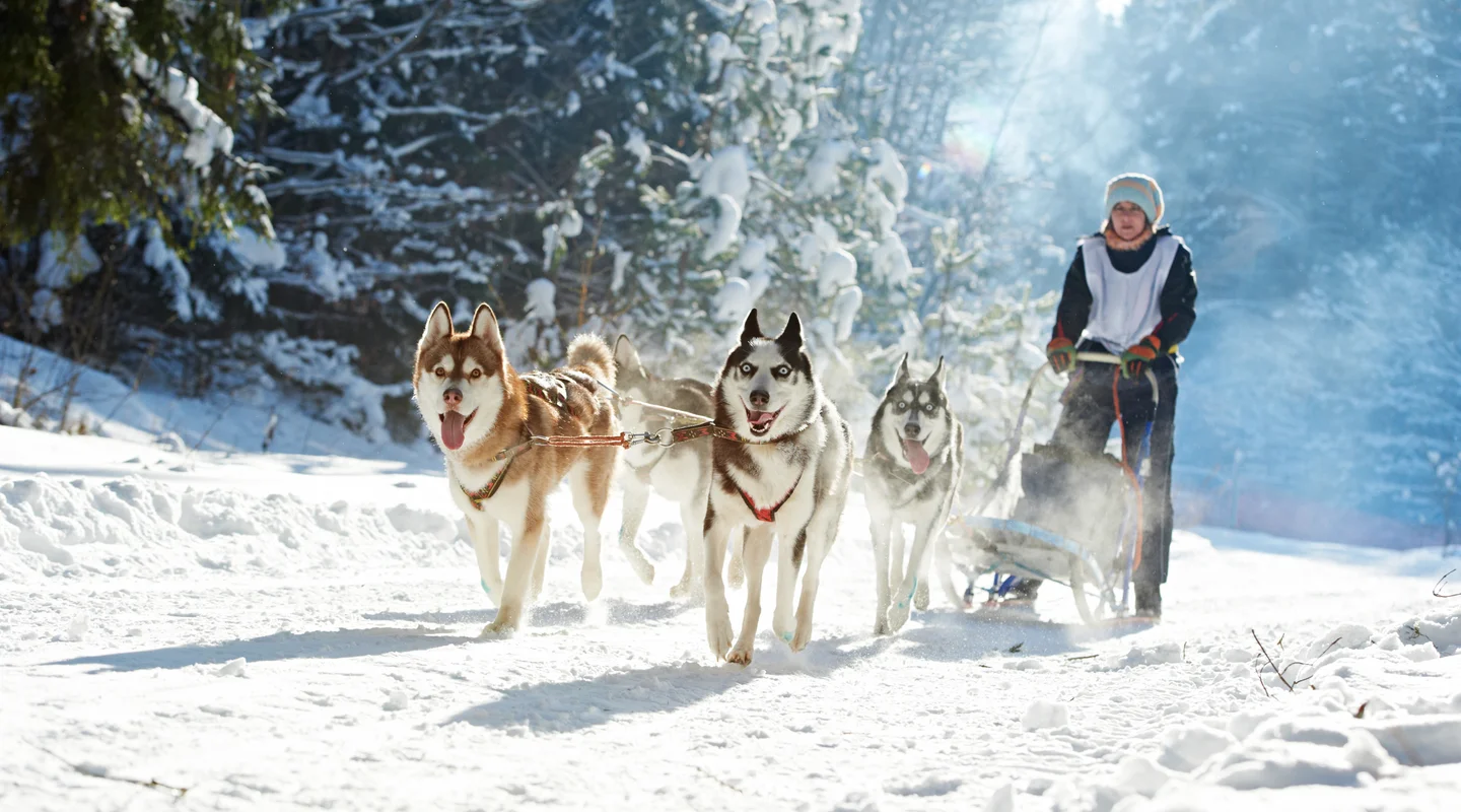 Pre-Navidad en Iso Syöte