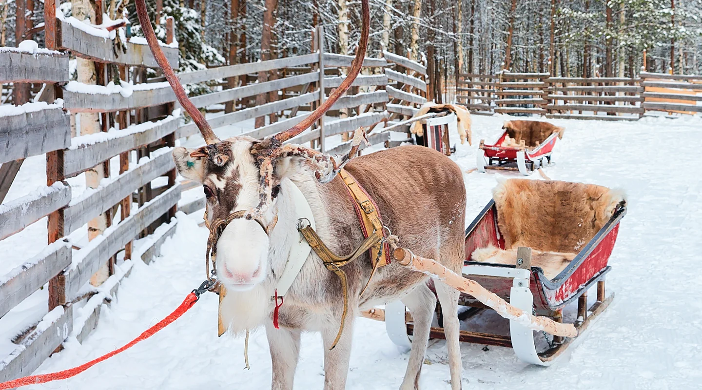 Diciembre en Ruka: Rukatonttu