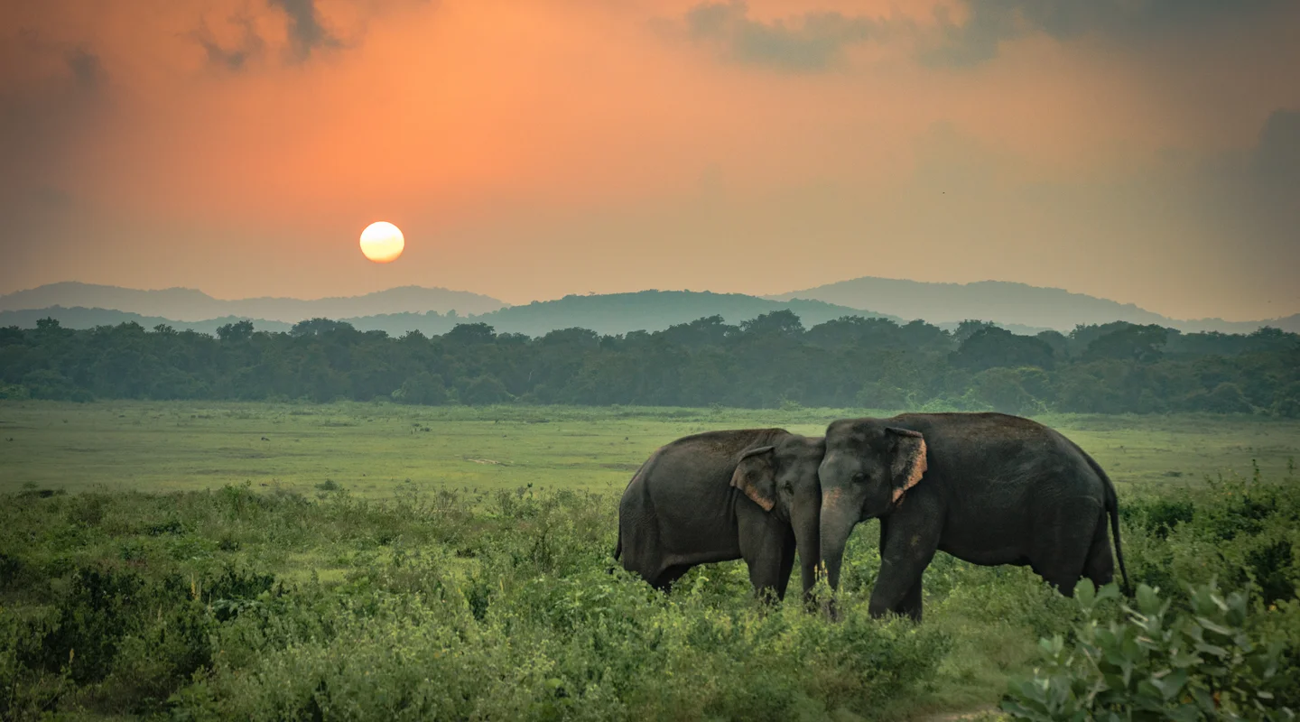 Especial Fin de Año Sri Lanka Clásica