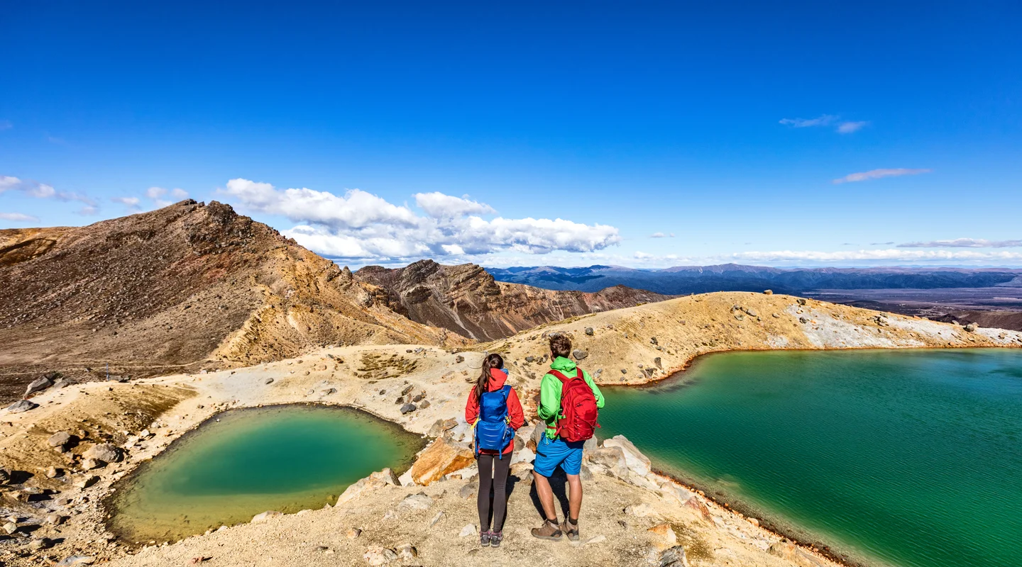Pinceladas de Nueva Zelanda