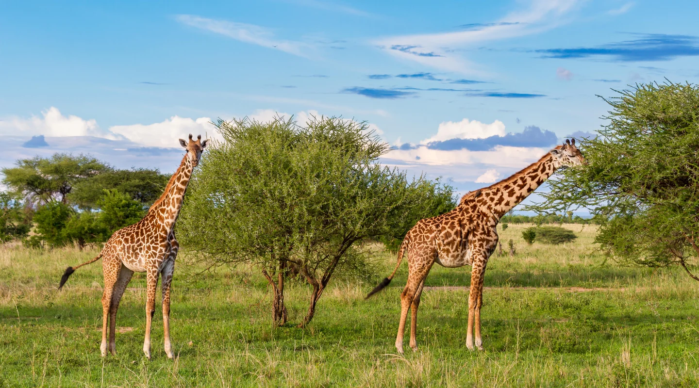 Tanzania Inolvidable