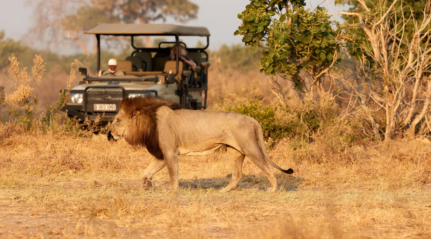 Memorias de Namibia en Privado