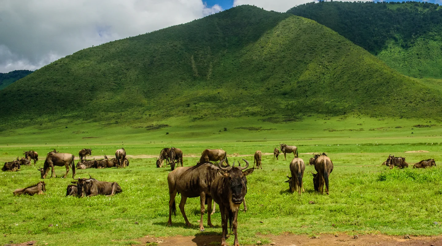 Maravillas de Tanzania en Hoteles Laba Laba