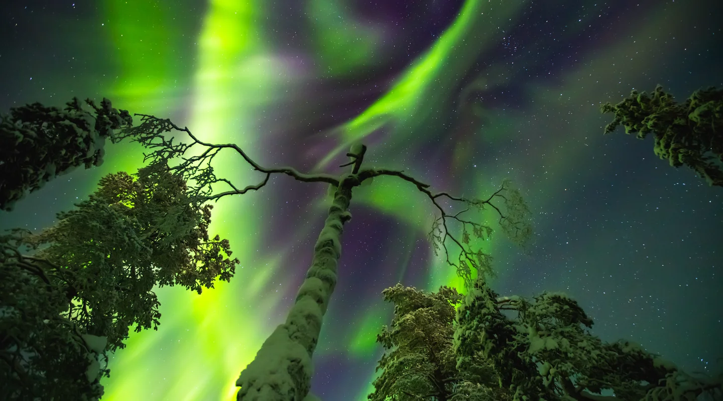 Bajo la Aurora Boreal
