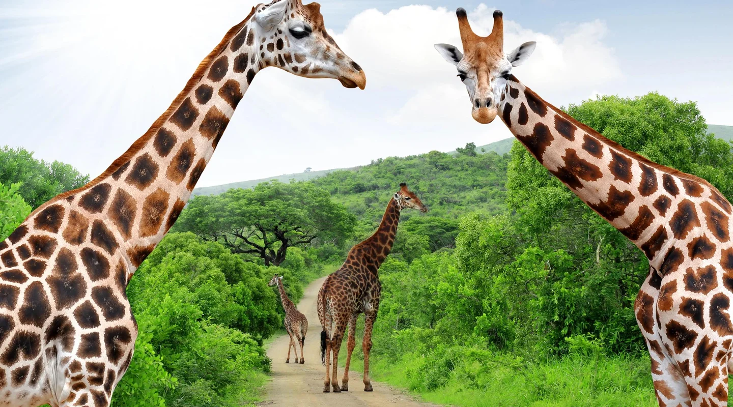 Sudáfrica Ruta Gran Treck