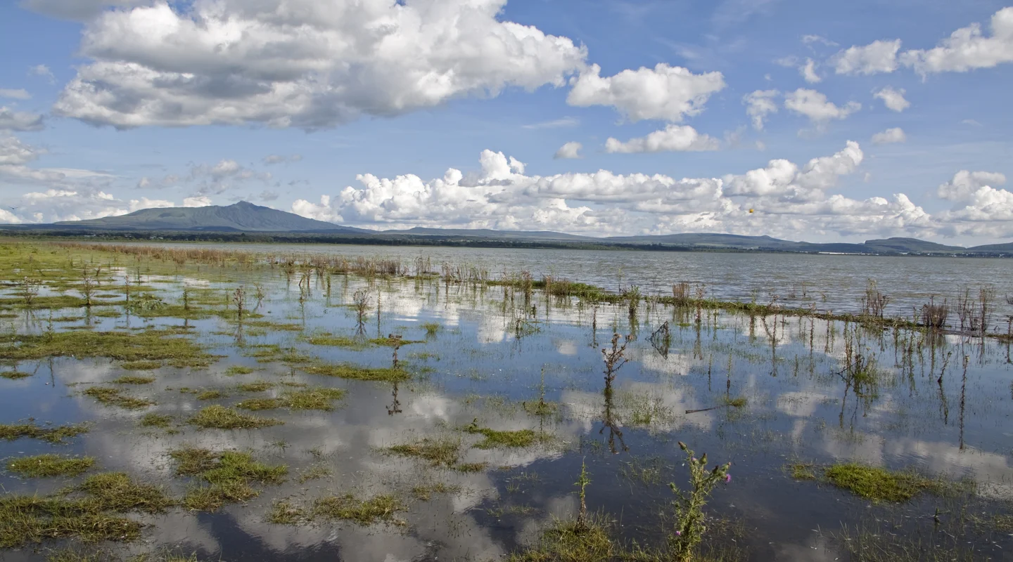 Kenia Lagos y Sabanas Especial Navidad
