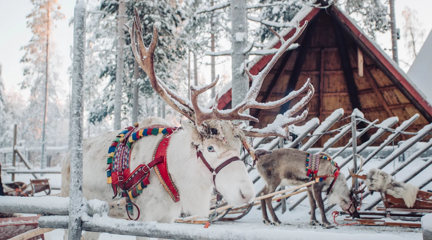 Escapada a Rovaniemi