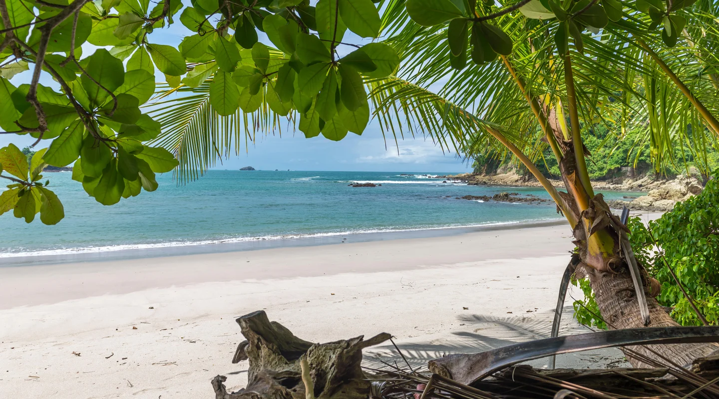 De Nueva York a Costa Rica