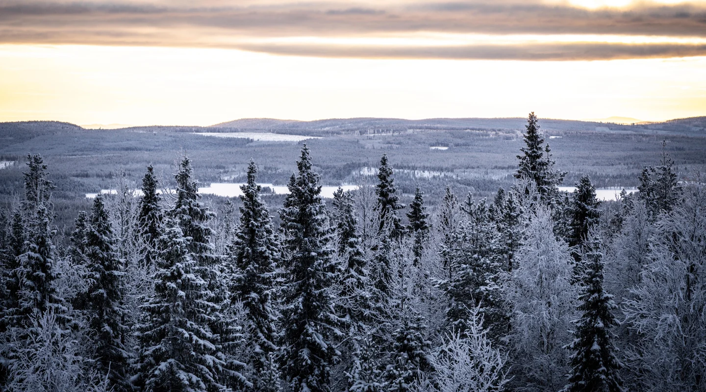 Aventura en el Golfo de Botnia