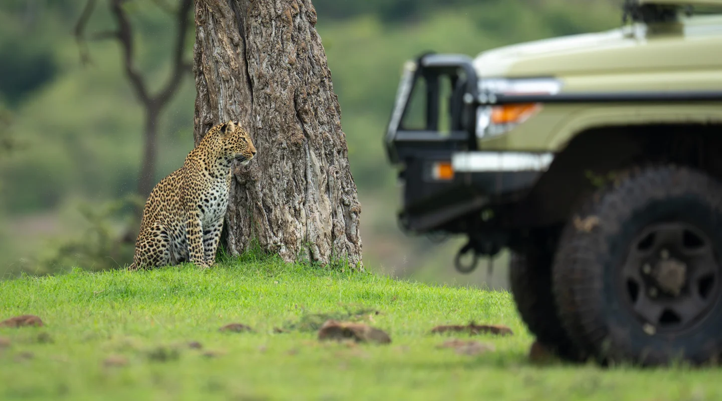 Recorriendo Tanzania y Kenia