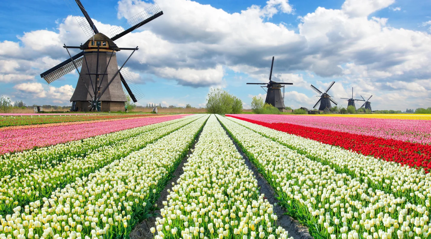 Encantos de los Países Bajos