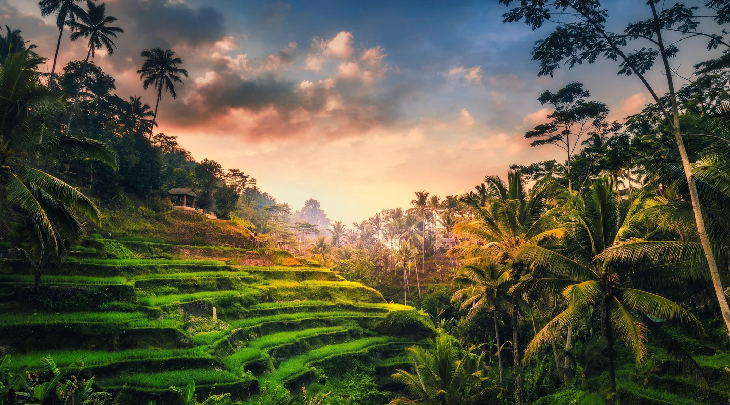 Tailandia y Bali, entre Templos e Islas