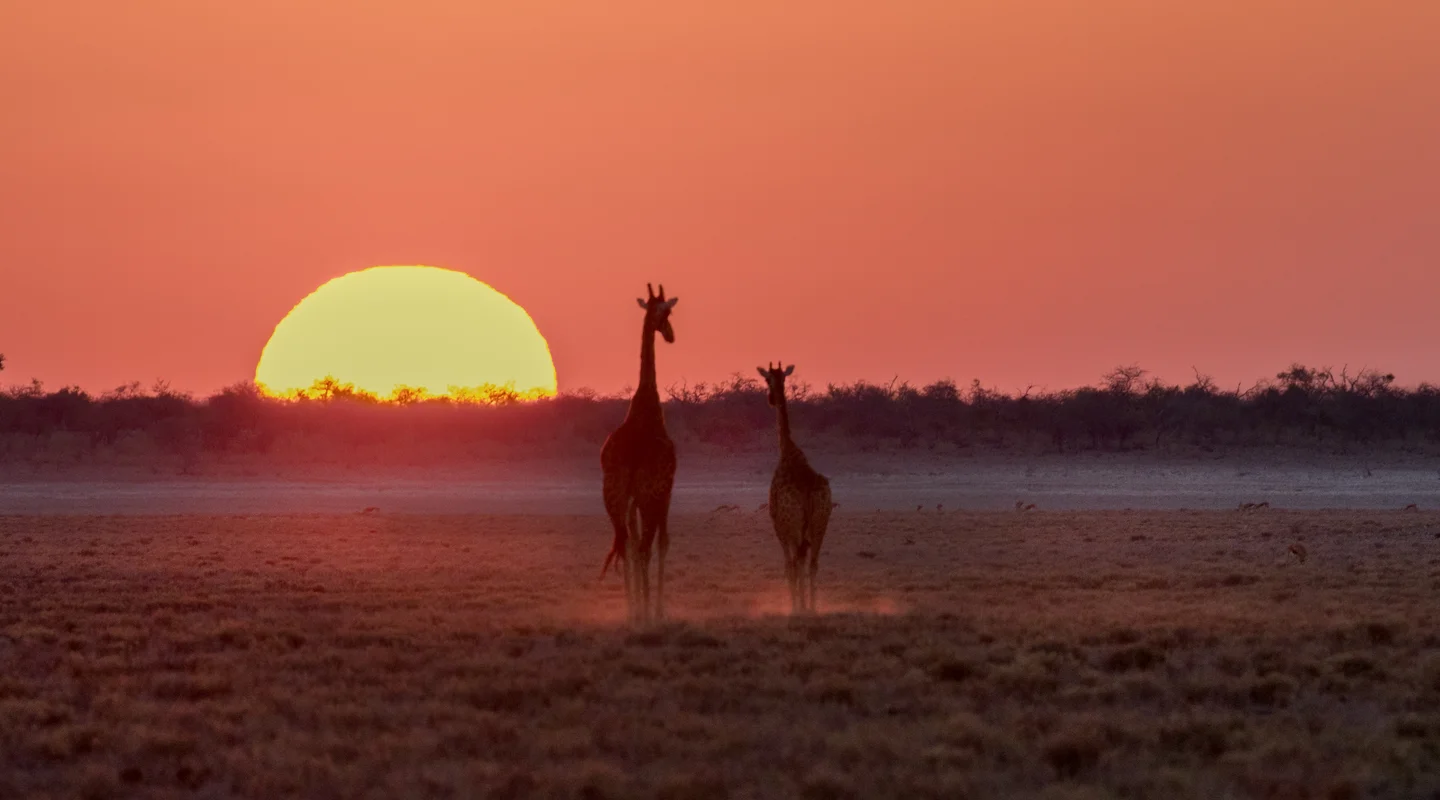 Maravillas de Namibia
