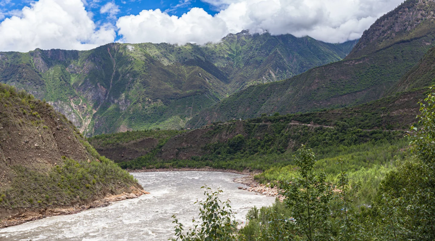 Rinocerontes y tigres de Kaziranga