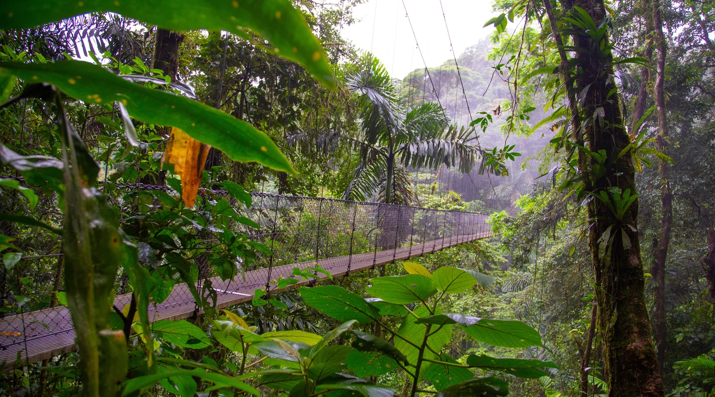 Naturaleza Y Aventura En Costa Rica