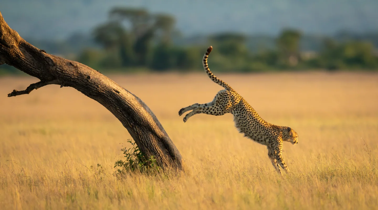 Lo Mejor de Kenia y Tanzania en Hoteles Neptune