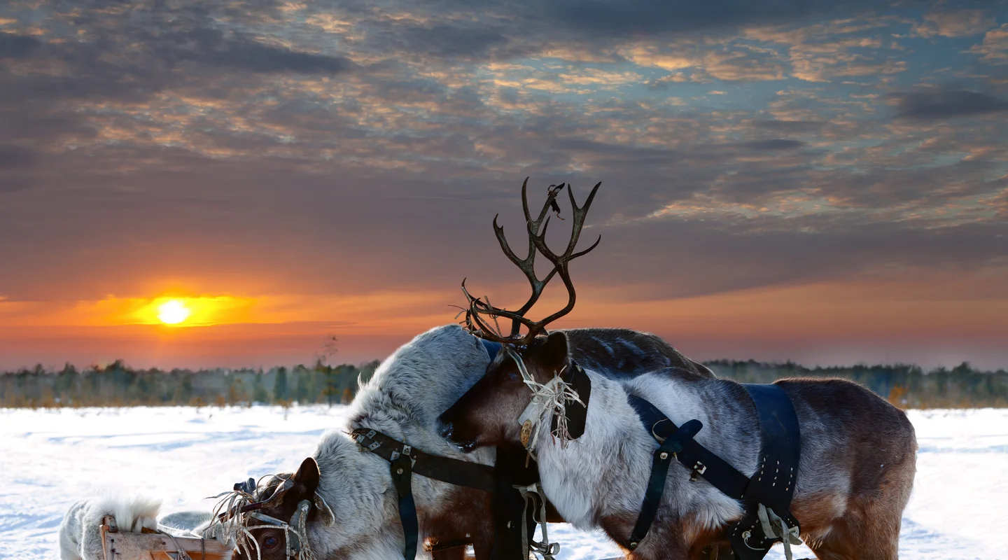 Laponia Finlandesa: Iso Syöte