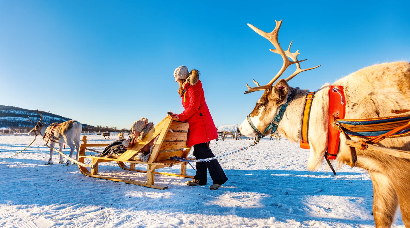 Especial Fin de Año en Ruka: Rukan Salonki