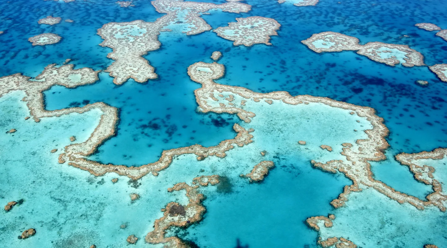 Súper Australia y Macao