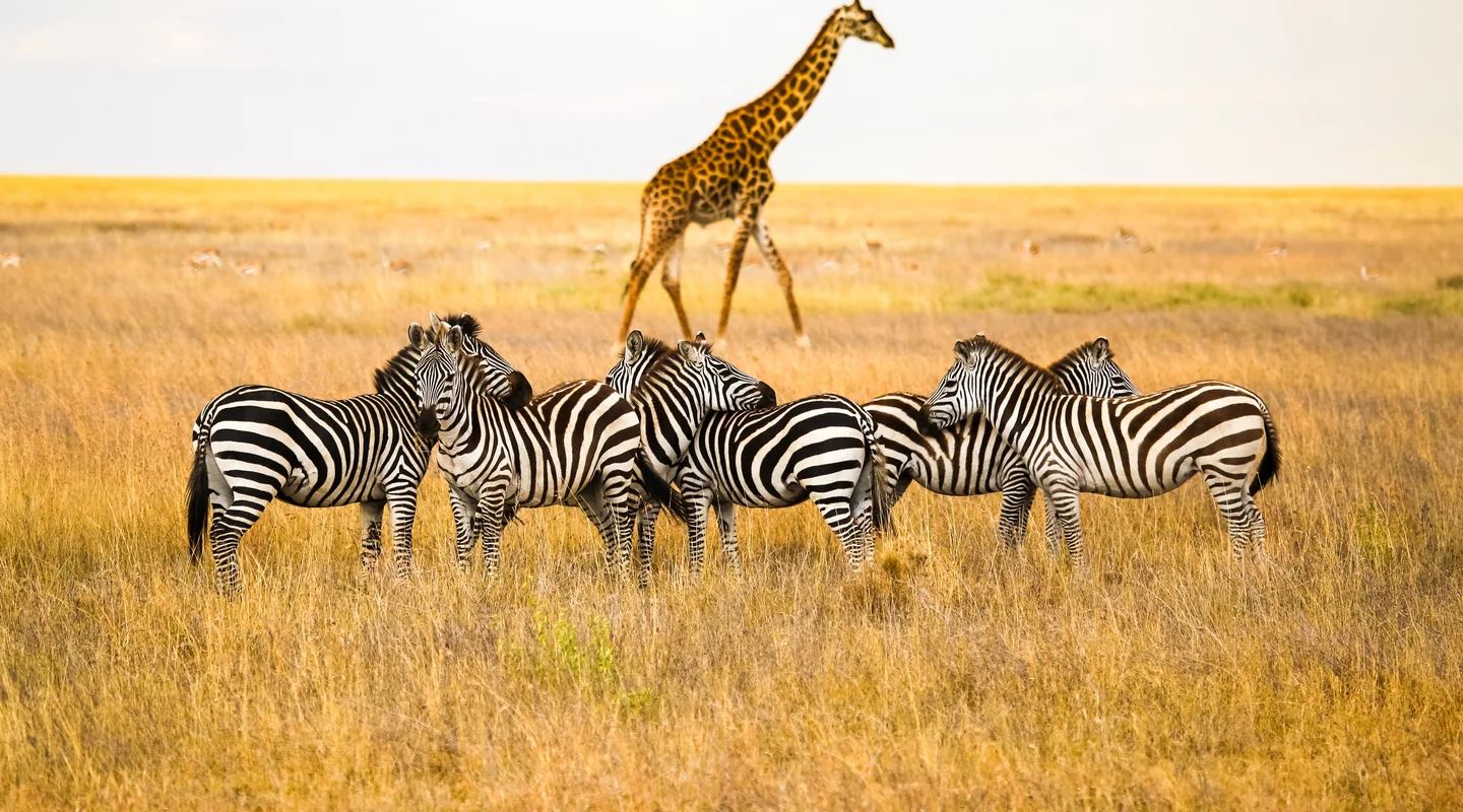 Descubriendo el Sur de Tanzania