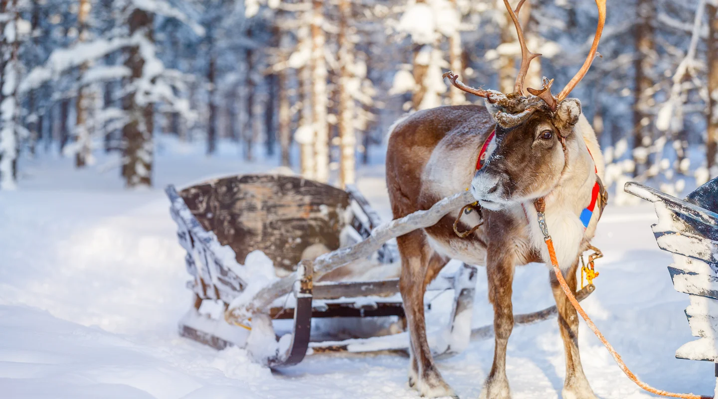 Post-Puente de Diciembre en Ruka: Rukatonttu