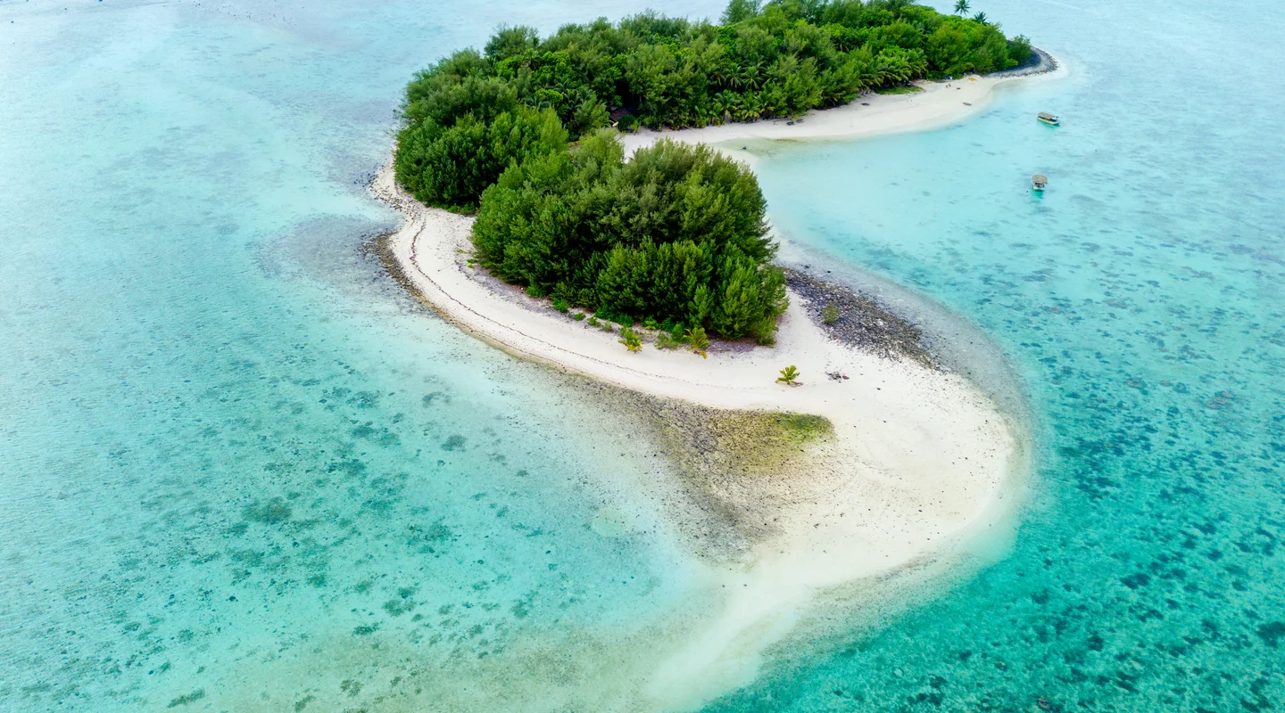 Nueva Zelanda y Polinesia Neozelandesa