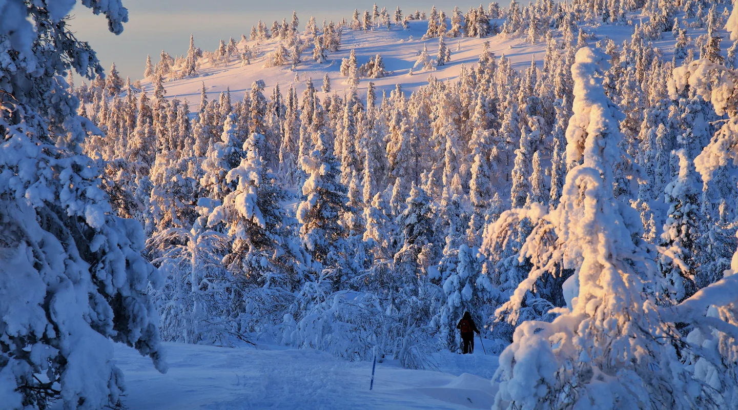 Especial Fin de Año en Pyhä: Parkside Pyhä