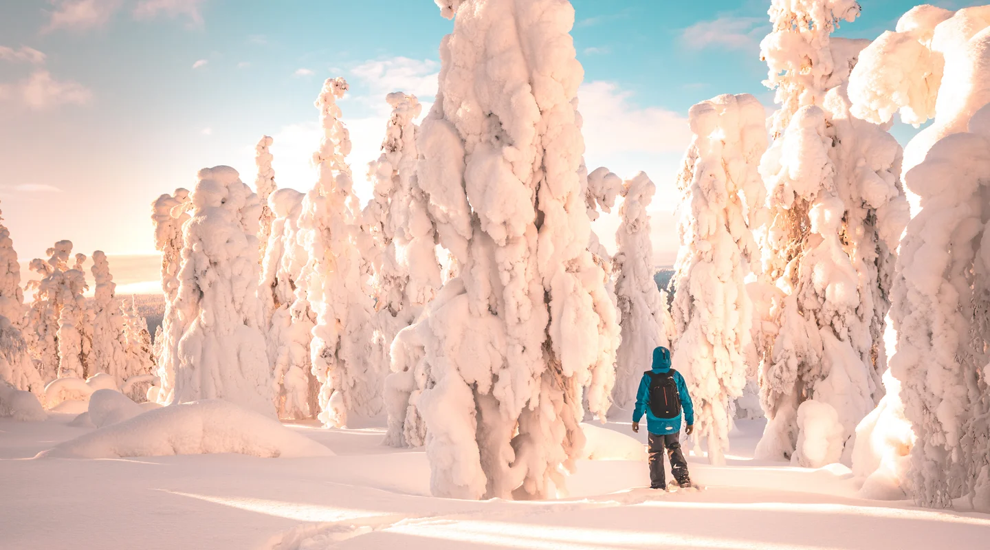 Especial Pre-Navidad en Ruka: Scandic Rukahovi