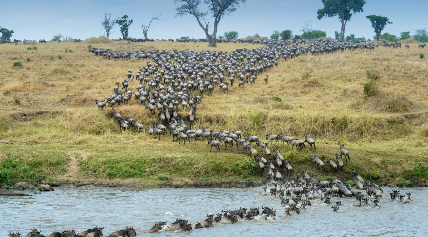 Tierra de Migraciones