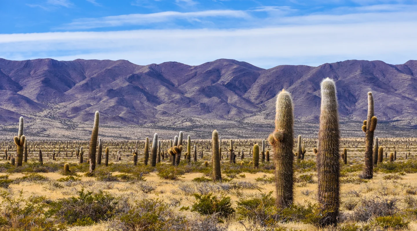 Contrastes Argentinos