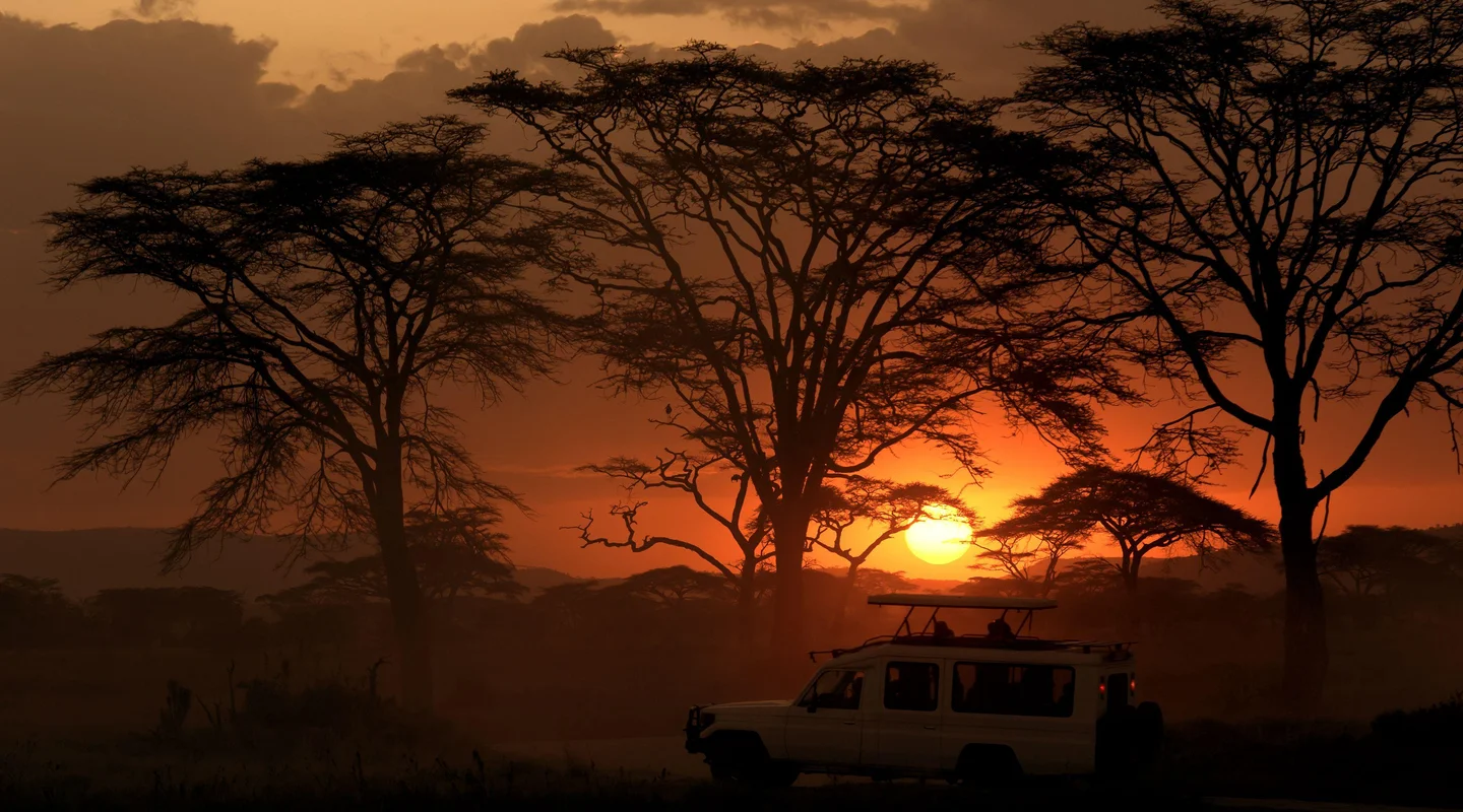 Safari Marafiki Especial Fín de Año