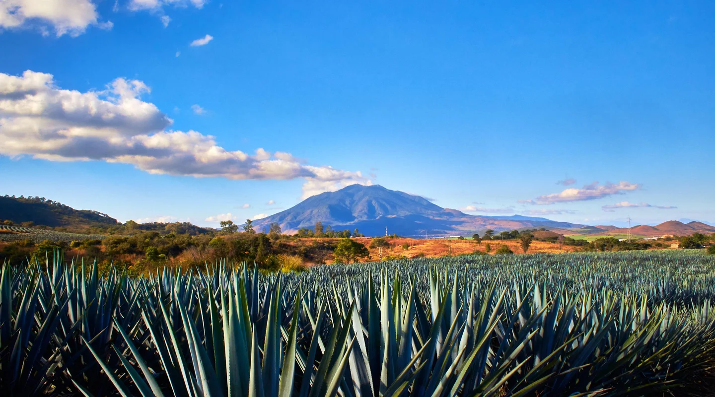 Vive Riviera Nayarit
