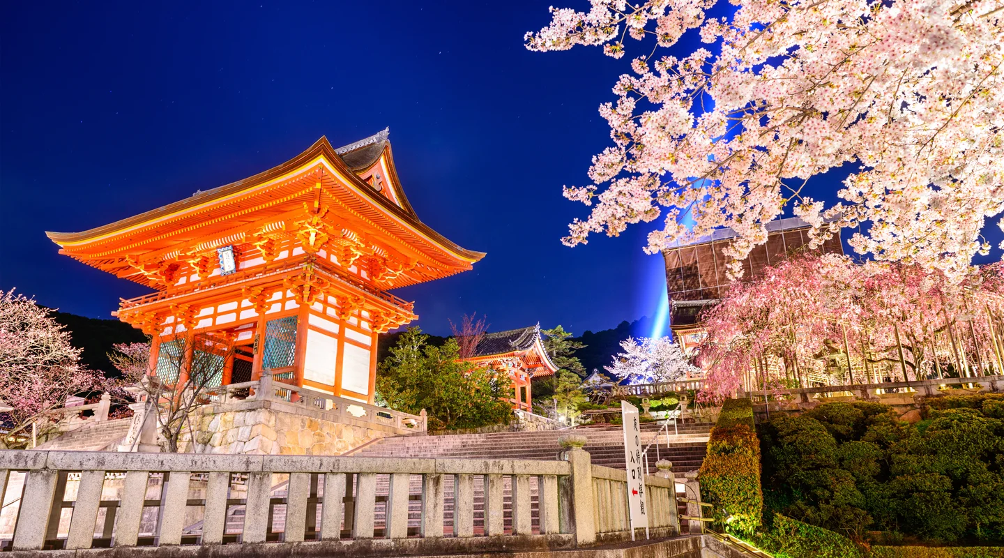 Japón a tu Aire: Ruta Cosmopolita