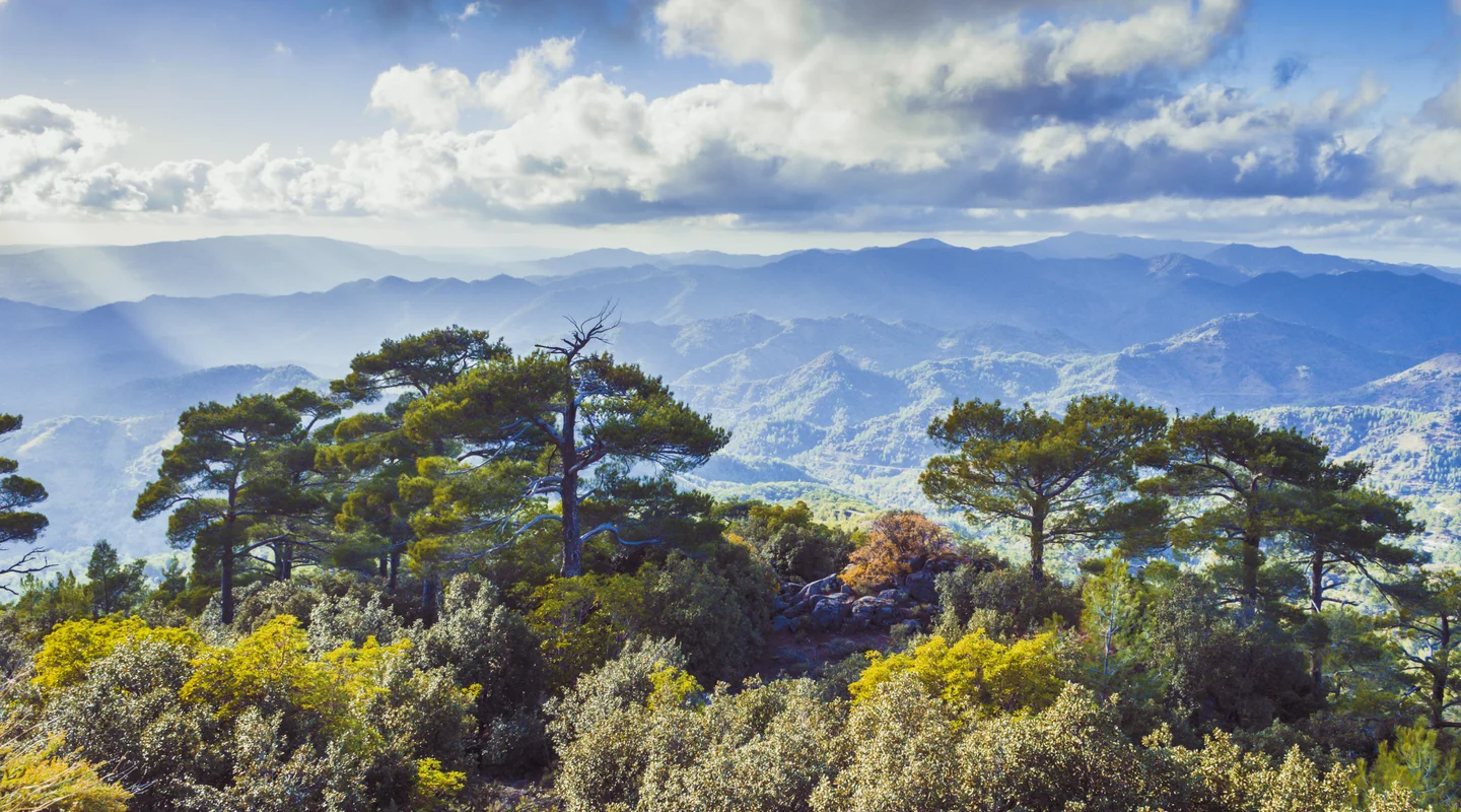 Especial Fin de  Año: Chipre Espectacular