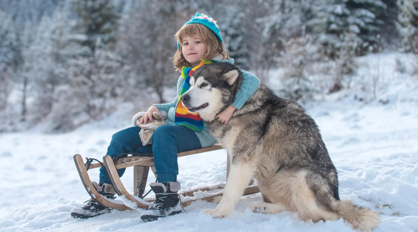 Especial Pre-Puente de Diciembre en Levi: Apartamentos