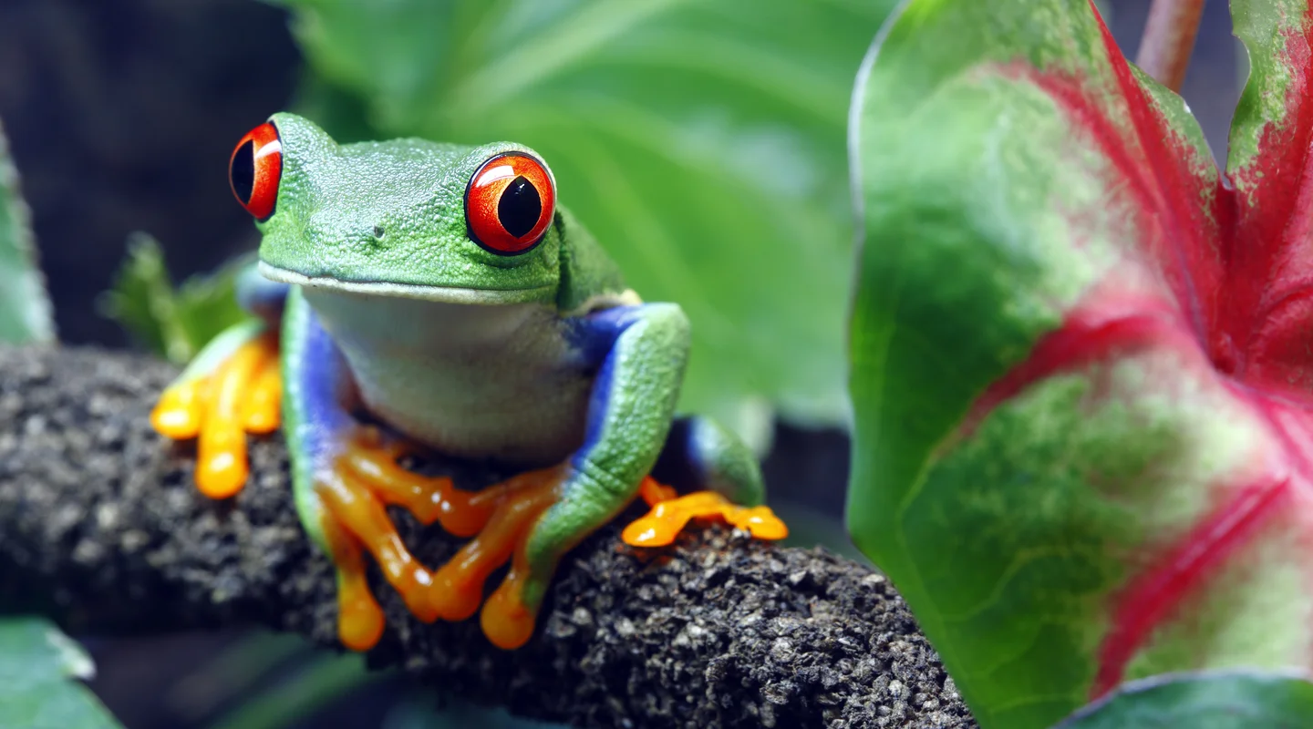 Especial Semana Santa: Costa Rica Esencial