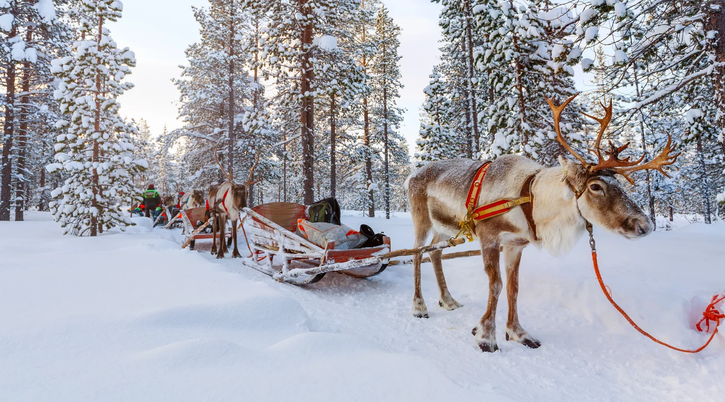 Pre-Navidad en Kuusamo: Holiday Club Kusamon Tropiikki