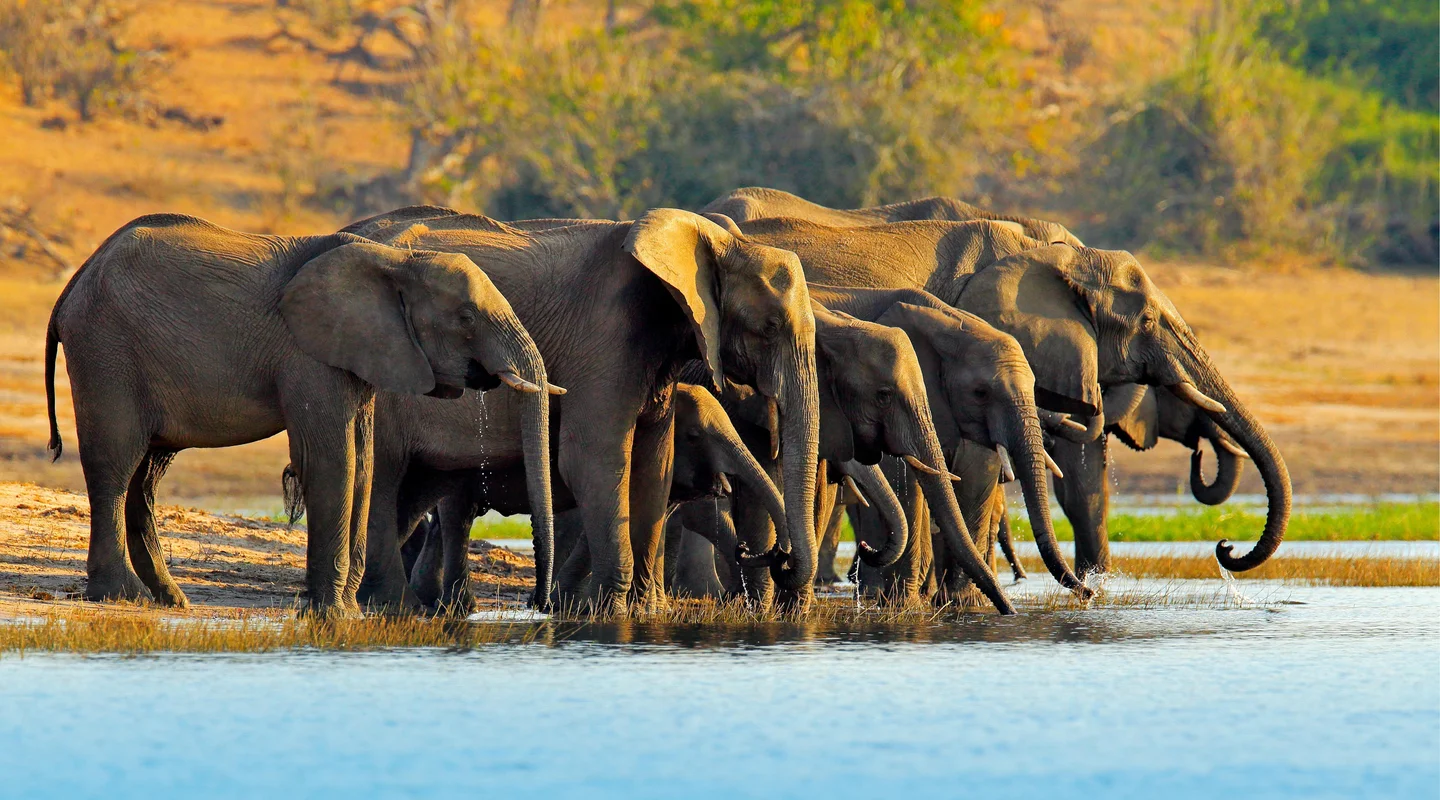 Cataratas Victoria con Chobe y Ciudad del Cabo