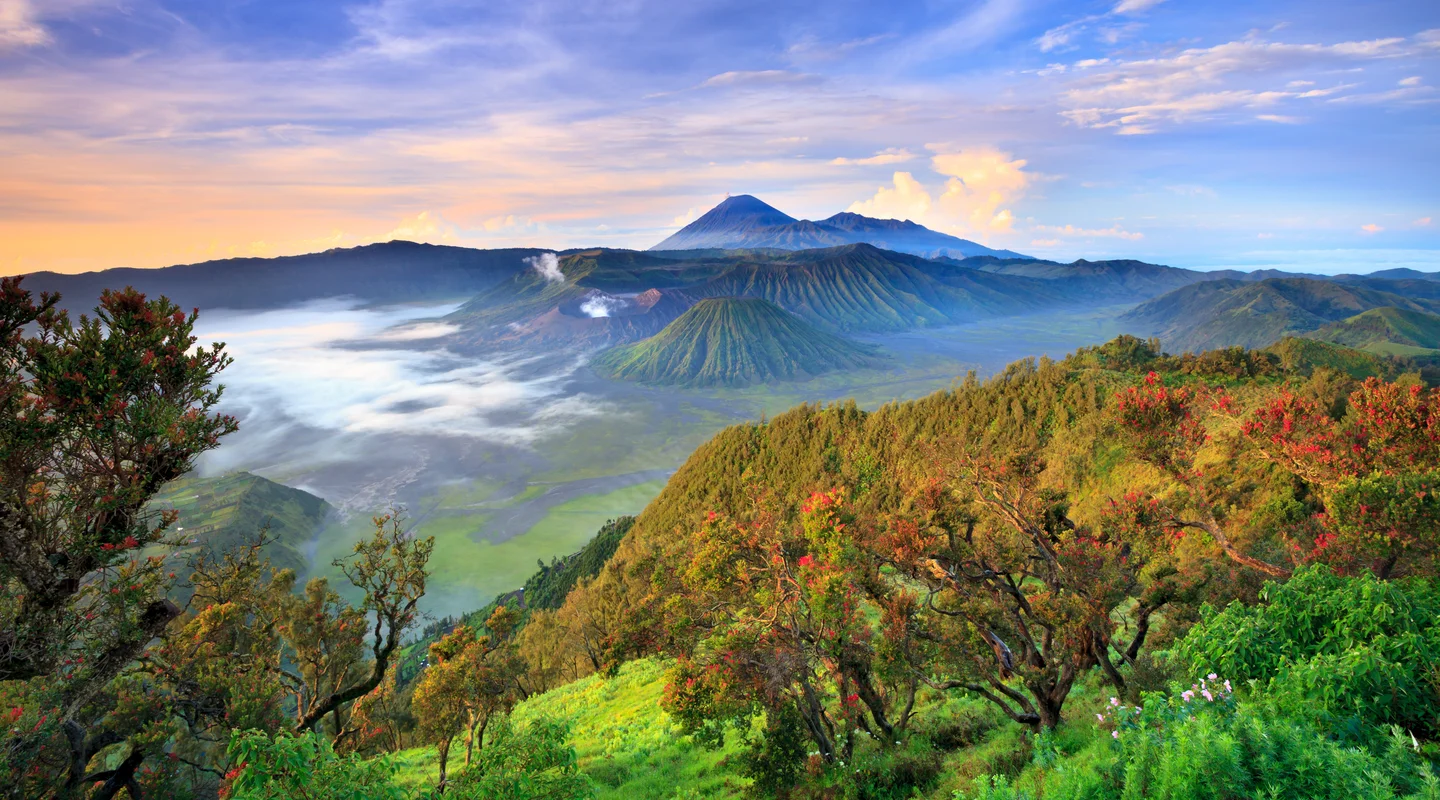 Java al Completo y Bali