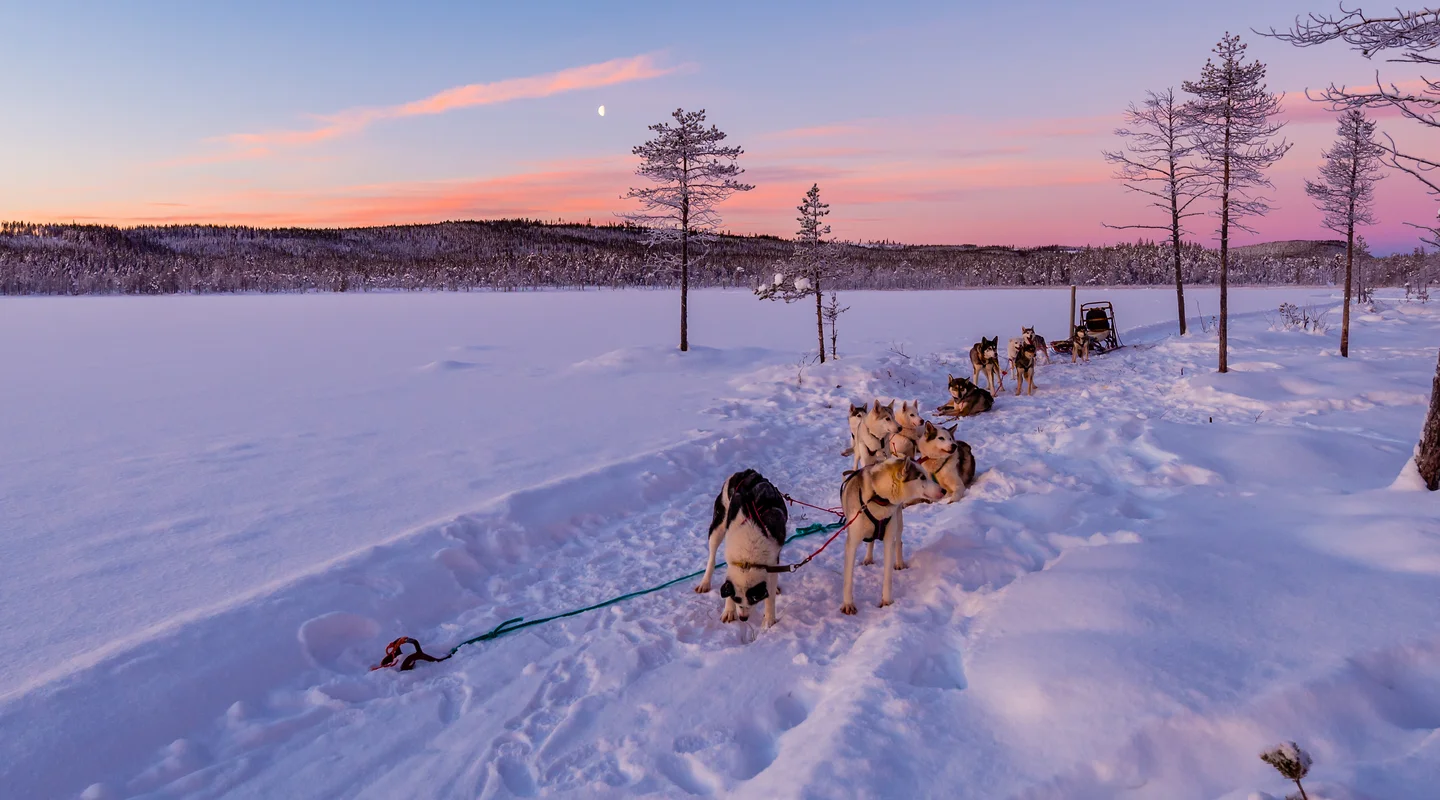 Especial Fin de Año en Rovaniemi: Sokos Vaakuna