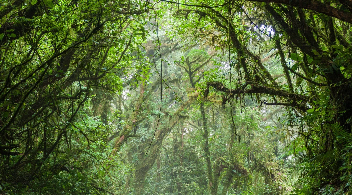 Costa Rica A Tu Alcance