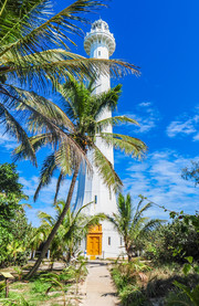 Faro
