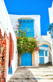 Sidi Bou Said