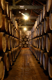 Bodegas de vino