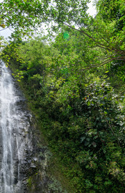 Cascada de Manoa