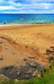 Playa de Burnie