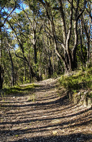 Parque de conservación Cleland