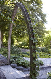 Jardín Botánico DBW