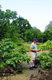 La reserva y jardín de Limahuli